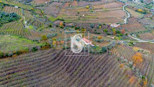 Terreno R�stico T0 - Cambres, Lamego, Viseu - Miniatura: 8/14