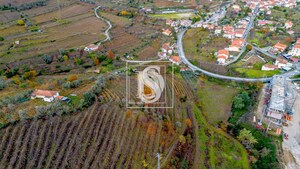 Terreno R�stico T0 - Cambres, Lamego, Viseu - Miniatura: 9/14