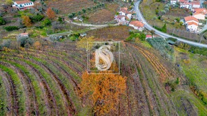 Terreno R�stico T0 - Cambres, Lamego, Viseu - Miniatura: 12/14
