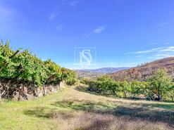 Terreno R�stico - Grilo, Bai�o, Porto - Miniatura: 4/40