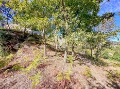 Terreno R�stico - Grilo, Bai�o, Porto - Miniatura: 17/40