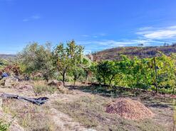 Terreno R�stico - Grilo, Bai�o, Porto - Miniatura: 35/40