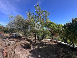 Terreno R�stico - Grilo, Bai�o, Porto - Miniatura: 39/40