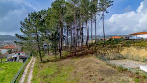 Terreno R�stico - Fregim, Amarante, Porto - Miniatura: 16/25