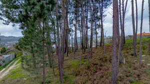 Terreno R�stico - Fregim, Amarante, Porto - Miniatura: 18/25