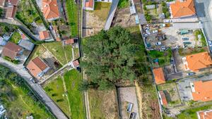 Terreno R�stico - Fregim, Amarante, Porto - Miniatura: 23/25