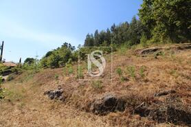 Terreno R�stico - Salvador do Monte, Amarante, Porto - Miniatura: 3/7