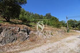 Terreno R�stico - Salvador do Monte, Amarante, Porto - Miniatura: 4/7