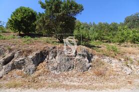 Terreno R�stico - Salvador do Monte, Amarante, Porto - Miniatura: 5/7