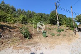 Terreno R�stico - Salvador do Monte, Amarante, Porto - Miniatura: 6/7