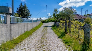 Moradia T1 - Loivos do Monte, Bai�o, Porto - Miniatura: 19/23