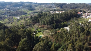 Terreno R�stico - Tel�es, Amarante, Porto - Miniatura: 5/18