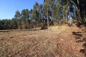 Terreno R�stico - Tel�es, Amarante, Porto - Miniatura: 9/18
