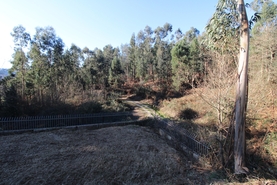 Terreno R�stico - Tel�es, Amarante, Porto - Miniatura: 13/18
