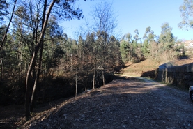 Terreno R�stico - Tel�es, Amarante, Porto - Miniatura: 17/18