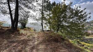 Terreno R�stico - Padronelo, Amarante, Porto - Miniatura: 11/14