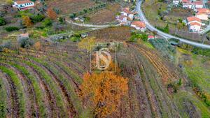 Terreno R�stico - Cambres, Lamego, Viseu - Miniatura: 5/14