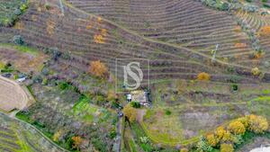 Terreno R�stico - Cambres, Lamego, Viseu - Miniatura: 8/14