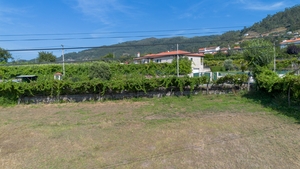 Terreno R�stico - Gouveia (S�o Sim�o), Amarante, Porto - Miniatura: 24/24