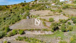 Terreno R�stico - Frende, Bai�o, Porto - Miniatura: 13/36