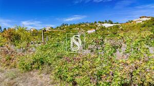 Terreno R�stico - Frende, Bai�o, Porto - Miniatura: 14/36