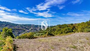 Terreno R�stico - Frende, Bai�o, Porto - Miniatura: 23/36