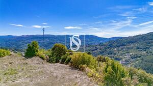 Terreno R�stico - Frende, Bai�o, Porto - Miniatura: 28/36