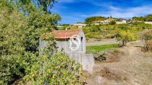 Terreno R�stico - Frende, Bai�o, Porto - Miniatura: 30/36