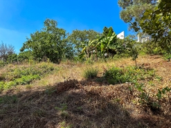 Terreno R�stico - Lufrei, Amarante, Porto - Miniatura: 4/11