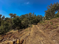 Terreno R�stico - Lufrei, Amarante, Porto - Miniatura: 10/11