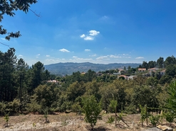 Terreno R�stico - Lufrei, Amarante, Porto - Miniatura: 11/11