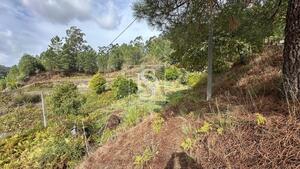 Terreno R�stico - Padronelo, Amarante, Porto - Miniatura: 5/14