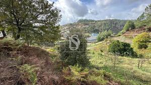 Terreno R�stico - Padronelo, Amarante, Porto - Miniatura: 6/14