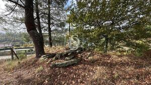 Terreno R�stico - Padronelo, Amarante, Porto - Miniatura: 10/14