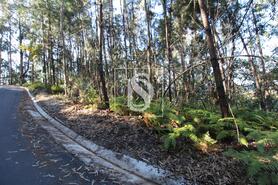 Terreno R�stico - REBORDELO, Amarante, Porto - Miniatura: 3/4