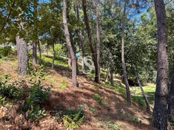 Terreno Urbano - Lufrei, Amarante, Porto - Miniatura: 5/11
