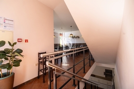 Bar/Restaurante - Lufrei, Amarante, Porto - Miniatura: 18/40