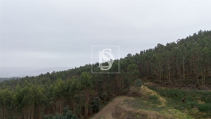 Terreno R�stico - Vandoma, Paredes, Porto - Miniatura: 2/24