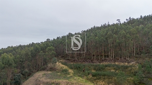 Terreno R�stico - Vandoma, Paredes, Porto - Miniatura: 6/24