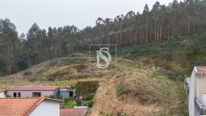Terreno R�stico - Vandoma, Paredes, Porto - Miniatura: 20/24