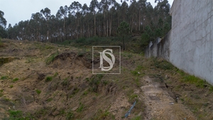 Terreno R�stico - Vandoma, Paredes, Porto - Miniatura: 22/24