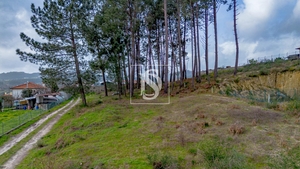 Terreno Urbano - Fregim, Amarante, Porto - Miniatura: 7/25