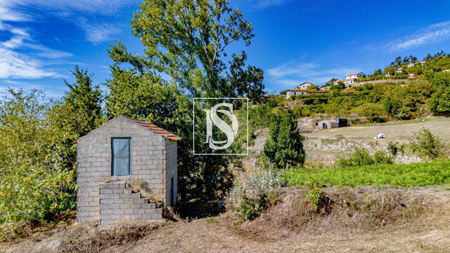 Terreno R�stico - Frende, Bai�o, Porto - Imagem grande