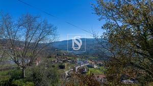 Terreno Rstico T0 - Ancede, Baio, Porto - Miniatura: 1/25