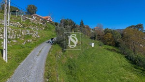 Terreno Rstico T0 - Ancede, Baio, Porto - Miniatura: 4/25