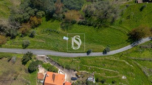 Terreno Rstico T0 - Ancede, Baio, Porto - Miniatura: 5/25