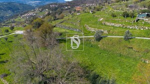 Terreno Rstico T0 - Ancede, Baio, Porto - Miniatura: 18/25