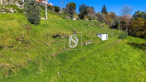 Terreno Rstico T0 - Ancede, Baio, Porto - Miniatura: 19/25