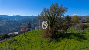 Terreno Rstico T0 - Ancede, Baio, Porto - Miniatura: 20/25