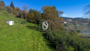 Terreno Rstico T0 - Ancede, Baio, Porto - Miniatura: 21/25